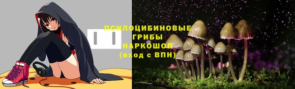 спиды Богородск