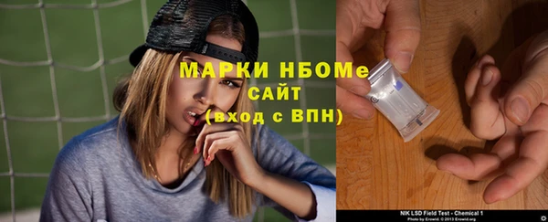 крисы Богородицк