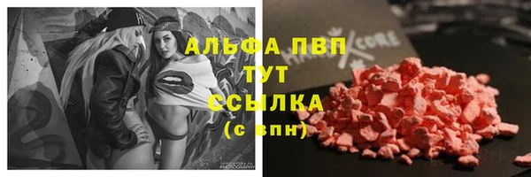 спиды Верея