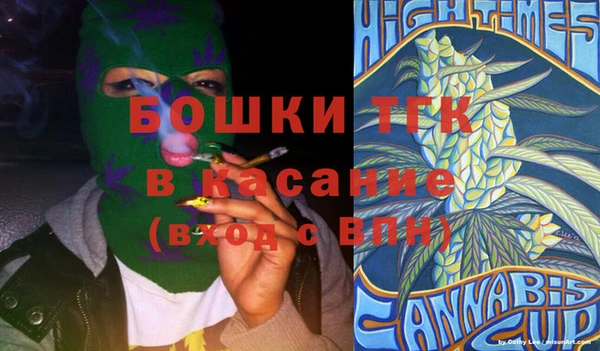 спиды Богородск