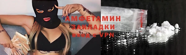 крисы Богородицк