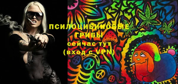 крисы Богородицк